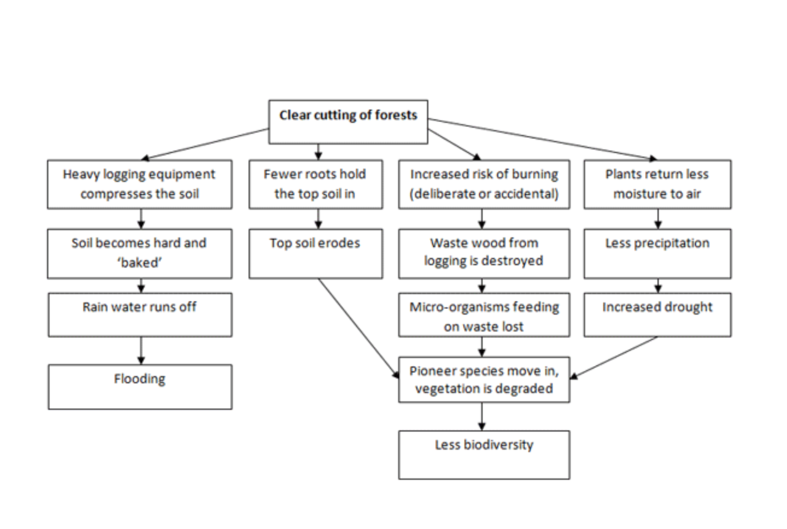 Biểu Đồ Sơ Đồ (Flow Charts)